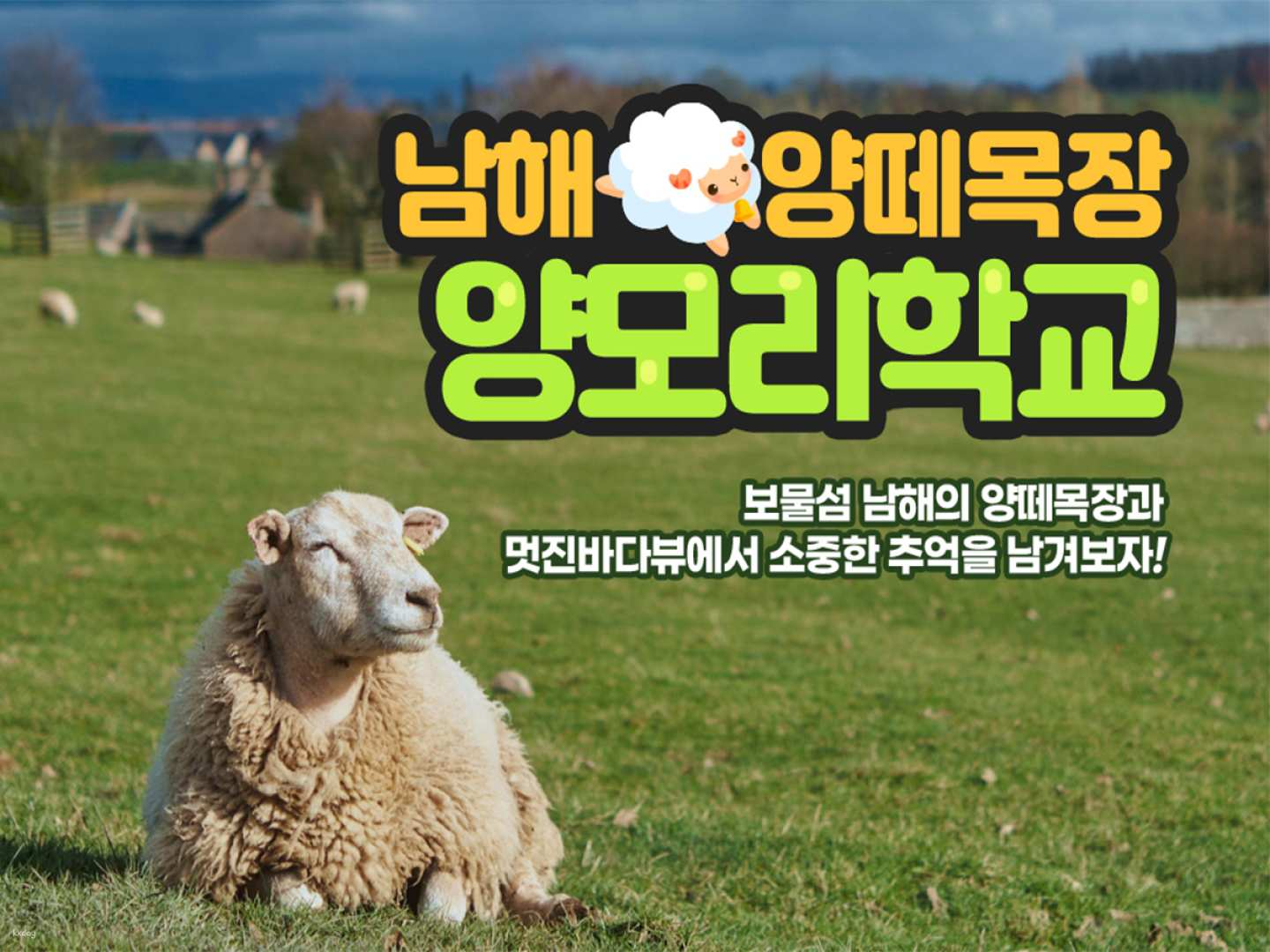 Namhae Sheep Ranch Sheep School - Photo 1 of 2